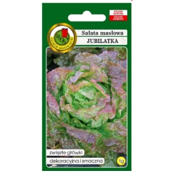 nasiona Sałata masłowa Jubilatka pnos376